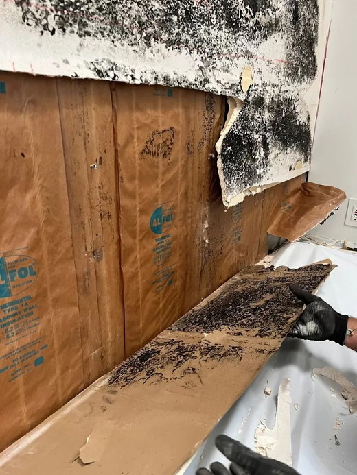 05_mold_remediation_wall.jpg