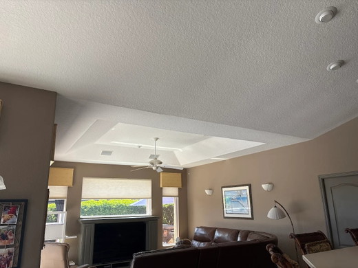 07_living_room_ceiling_after.jpg