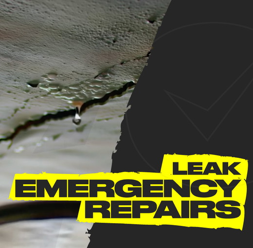 1CALL_RESTORE_NJ-ROOFING-COMPANY_LEAK_ROOF_EMERGENCY_REPAIRS_NEW-JERSEY.jpg