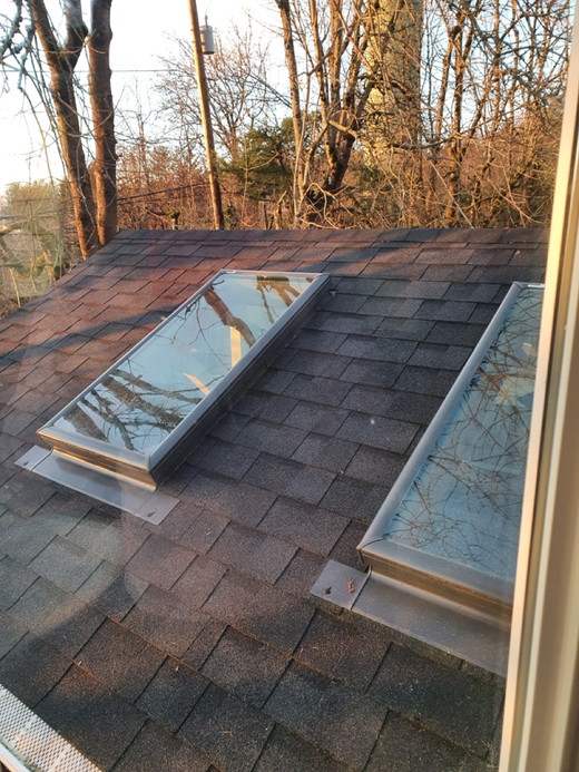 20250117_163634 Large.jpeg