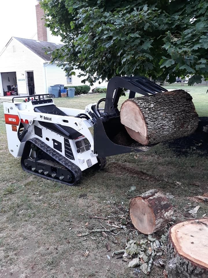 Suffolk Treework LI