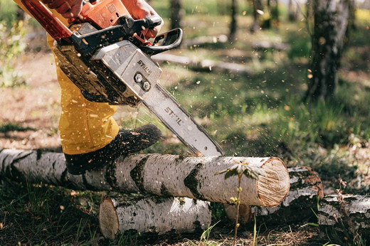 A person using a chainsaw to cut down a tree, representing top-rated tree service in Pasadena, MD, and nearby areas..jpeg
