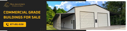 Bull Buildings-Graphics1000X250.jpg