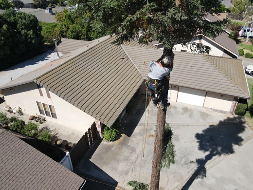 DJI_0096.JPG