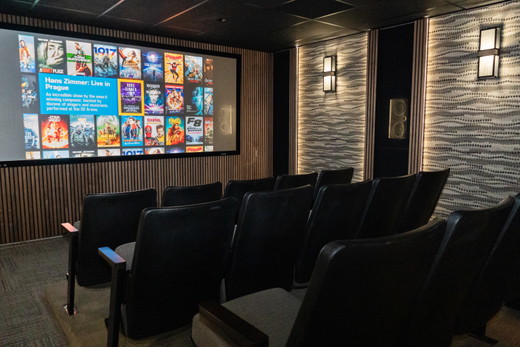 DT Prosource 1010 CI Demo Theater 1.jpg