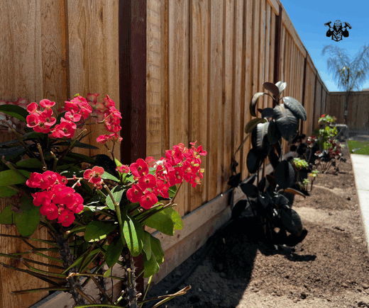 Detailed view of vibrant plants and greenery installed during a residential landscape design project in Stockton CA.png