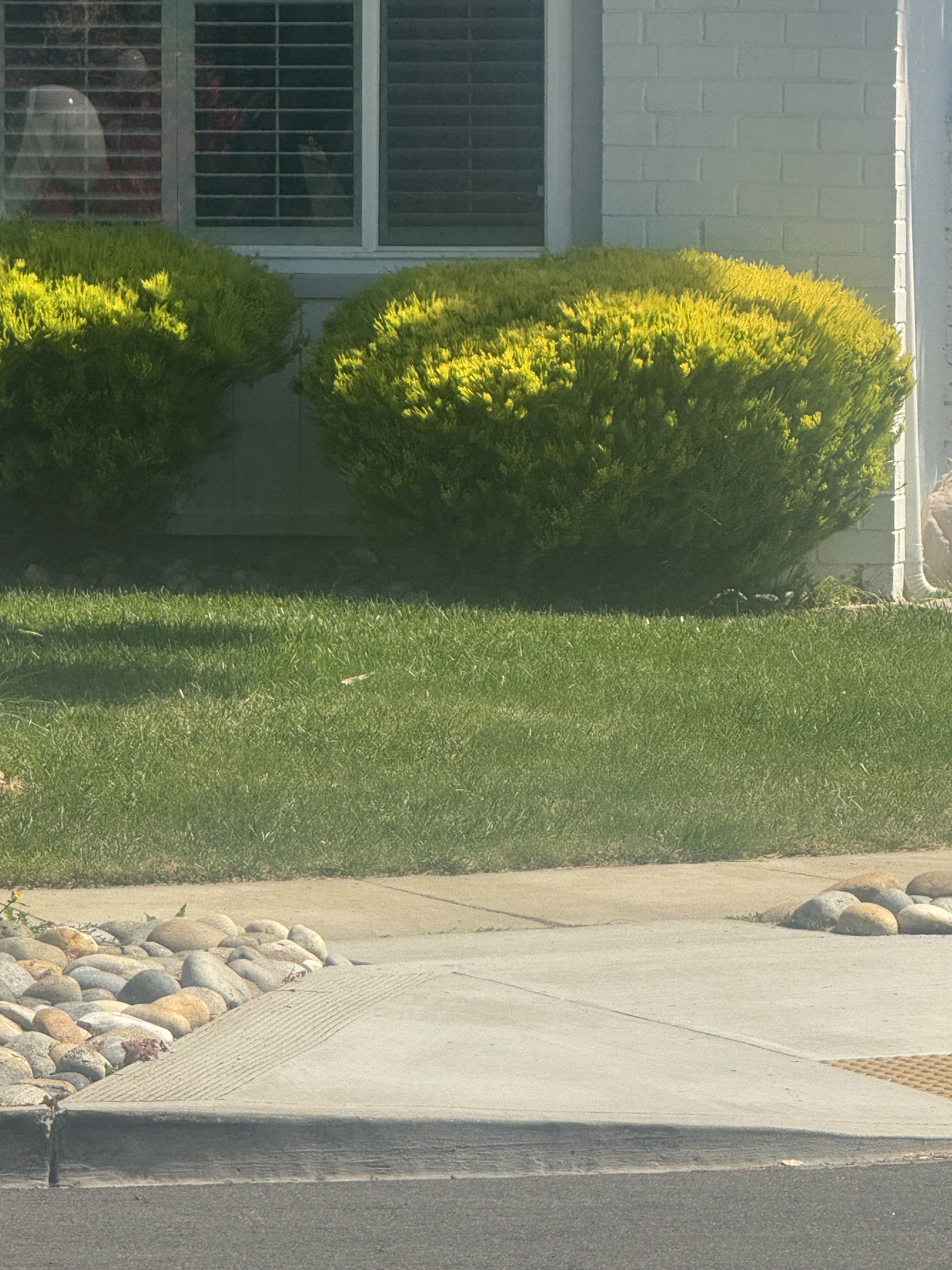 Turf & Pave Masters LLC