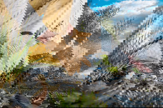 Fixing and installing irrigation system.jpg