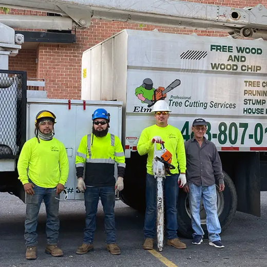 Four men in safety vests stand by a truck with a chainsaw, representing a top-rated tree service in Pasadena, MD..png