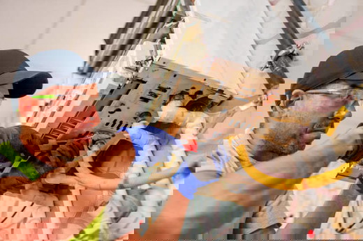 Gas Heating and Furnace Service.jpg