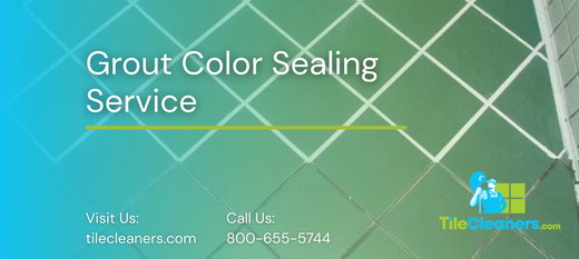 Grout Color Sealing Service.jpg