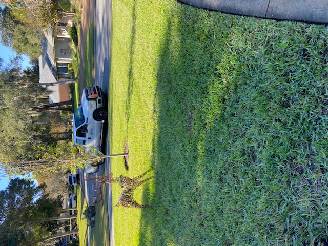 Lawn Nice 3.jpeg