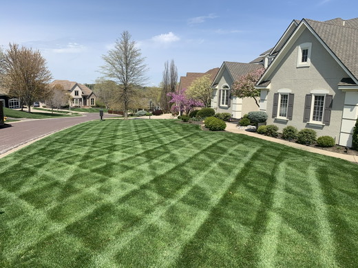 Lawn Stripe 6.jpg