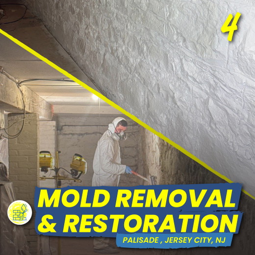 MOLD-PROJECT_NEW-JERSEY_ROOF4ROOF_NJ.jpg