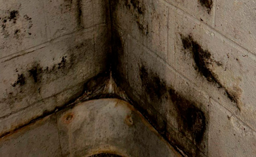 Mask group mold.png
