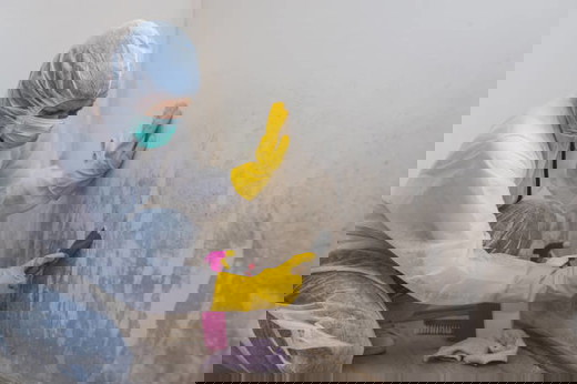 Mold and mildew removal.jpg