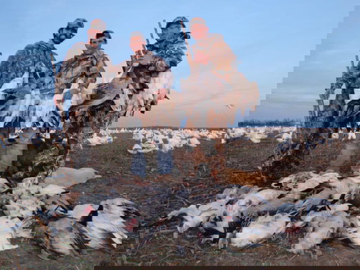 Public duck hunts Lake Reelfoot TN  _ Flooded Timber.jpg