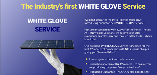 ReNew Solar Solutions - Energy System Service.png