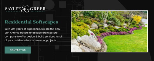 Saylee Greer - Graphic 1000x400.jpg