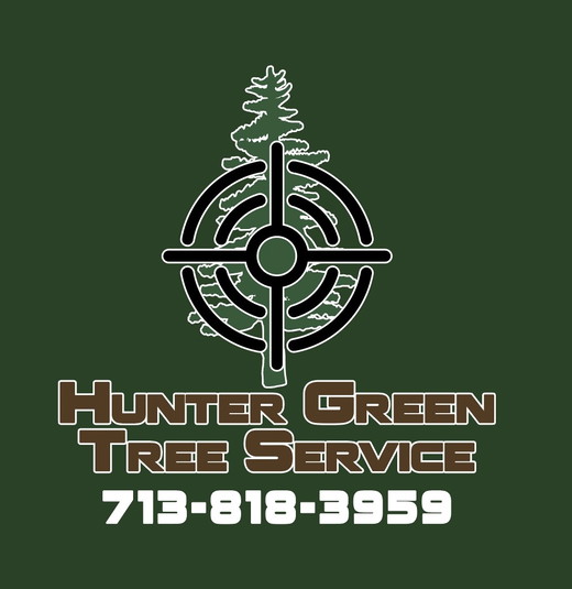 Screenshot 2025-03-05 at 8.16.56 AM.jpeg