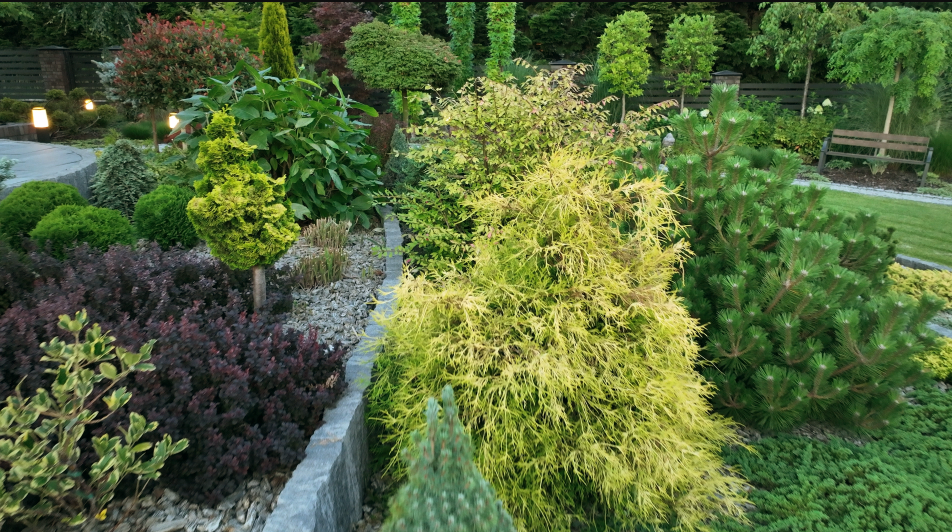 Denny’s Contracting Business