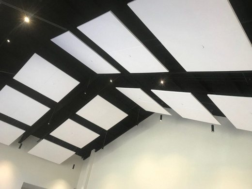 Sound-Management-Group-Ceiling - Sound Masking & Speech Privacy.jpg