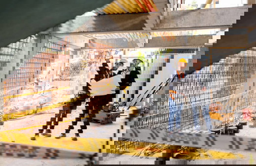 Structural Foundation repair services,.jpg