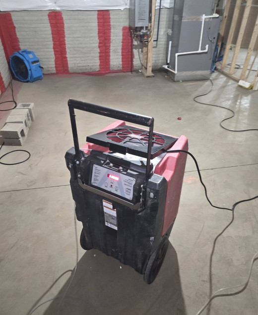 Water Damage and Restoration AIM Green Restoration (11) (Large).jpg