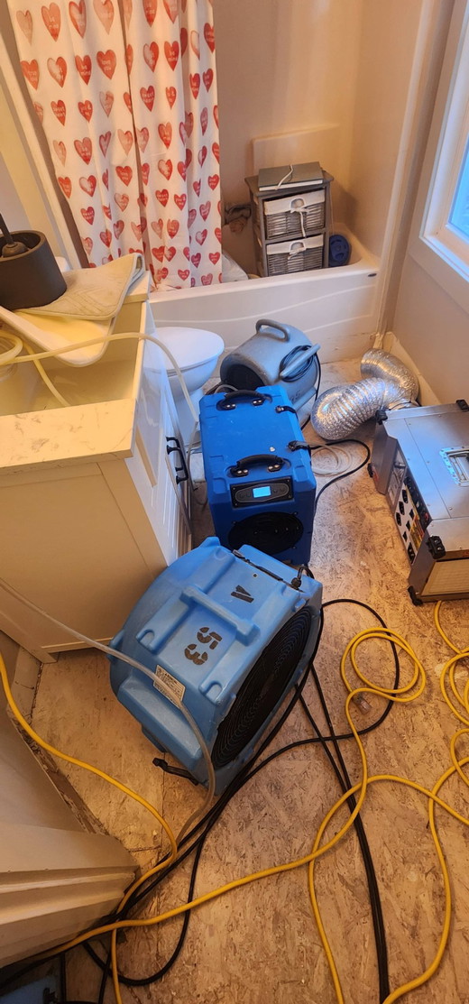 Water Damage and Restoration AIM Green Restoration (70) (Large).jpg