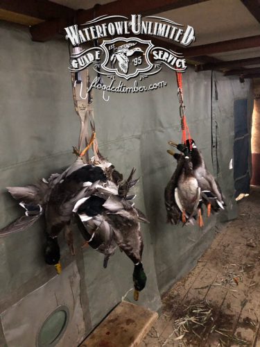 Waterfowl Unlimited Guide Service of historic Reelfoot Lake in west Tennessee and is proud to offer some of the finest waterfowling along the historical Missi.jpg