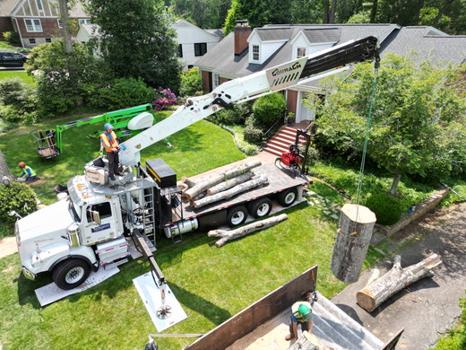 Western Star crane.JPG
