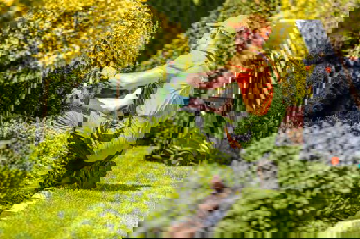 Yard Maintenance,.jpg