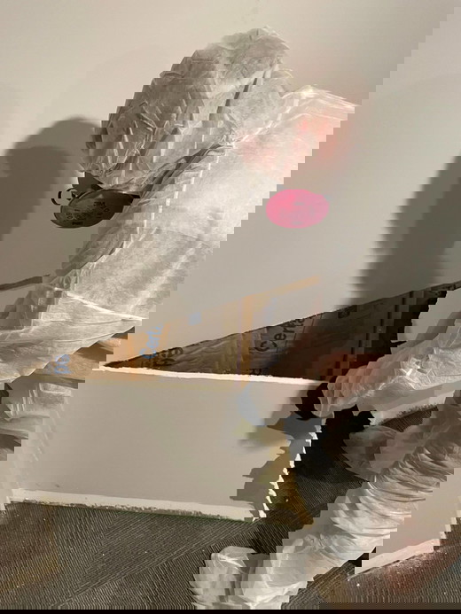 asbestos abatement 1.JPG