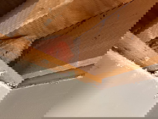 bathroom mold remediation - ceiling and insulation removal.jpg