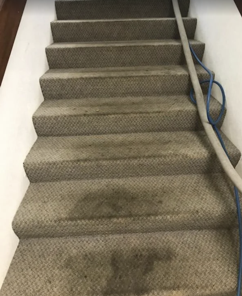 RestorePro Disaster Cleanup & Restoration