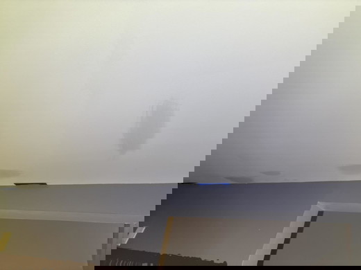 ceiling damage - mold remediation job.jpg