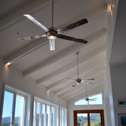 ceiling_fan_installation_in_Hilo.png