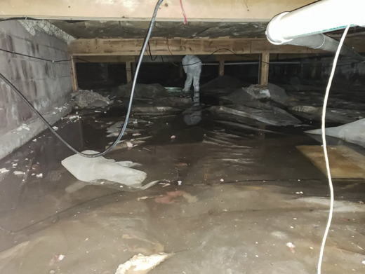crawlspace water damage.png
