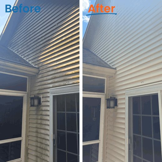 green-stuff-on-siding-removal-service.png