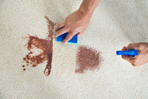 imgi_53_prosteam-carpet-care-and-restoration-hero-pet-odor-and-stain-removal.jpg