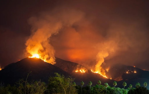 intense-wildfire-scene-at-night-in-redlands-ca-with-palm-trees-silhouetted.-28318169-1024x648.jpg