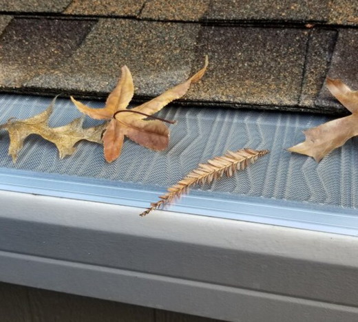 leafblaster pro.jpg