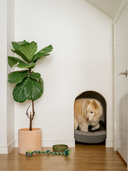 liberty-street-san-francisco-modern-minimalist-remodel-dog-custom-house-den-under-stair-niche-3.jpg