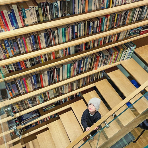 library-stair-san-francisco-remodel-bookcase-stair-kid.jpg