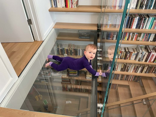 library-stair-san-francisco-remodel-glass-floor-bridge-baby-bookshelves.jpg
