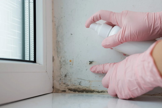 mold-removal-1-thumb.jpg