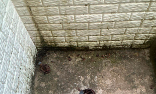 mold floor.png