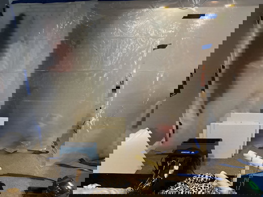 mold remediation - drying and containment.jpg