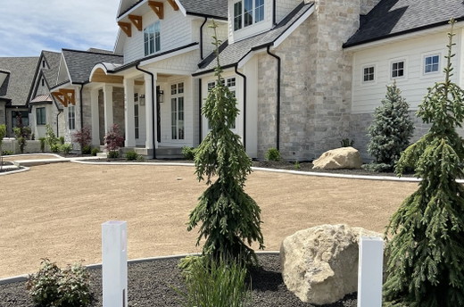 shepherdlandscapep1.jpg