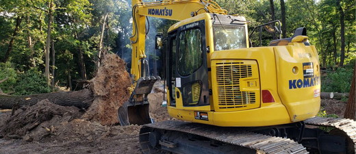 tree-removal-1024x444.jpg